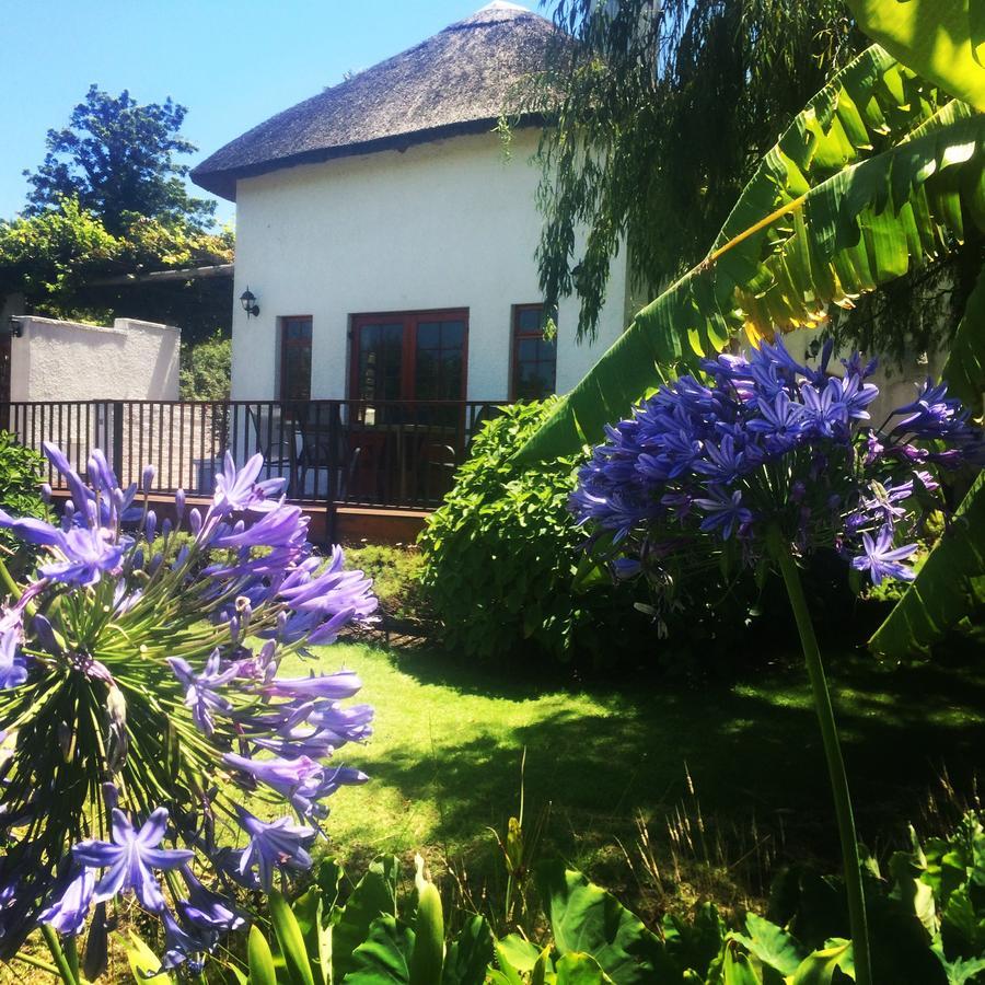 Acara Guesthouse & Cottages Stellenbosch Buitenkant foto
