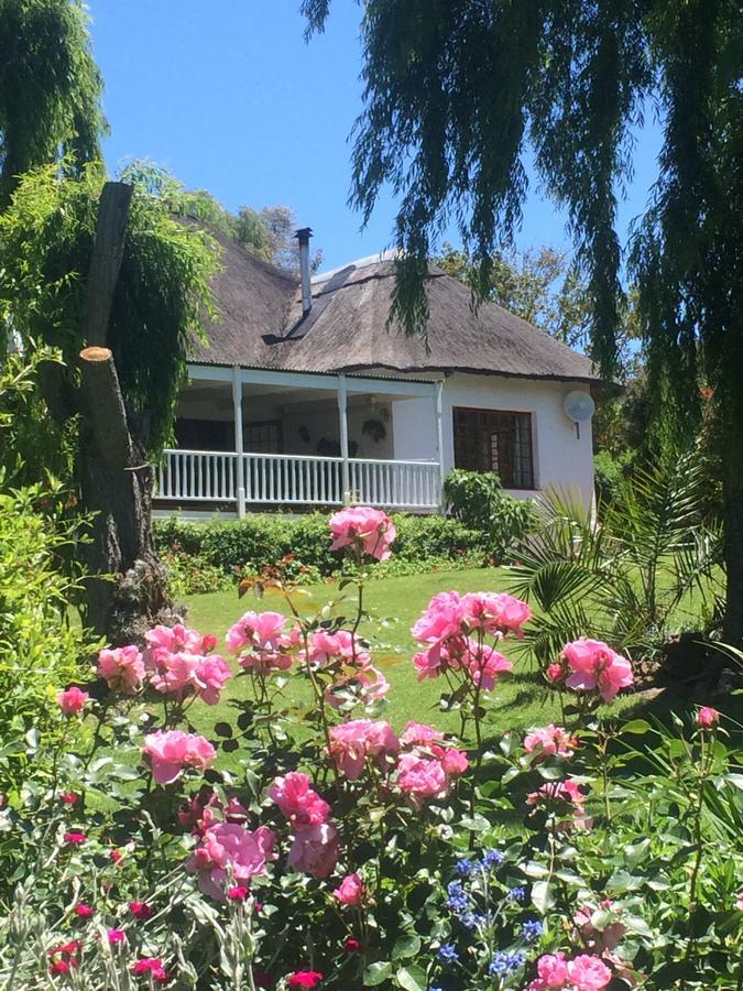 Acara Guesthouse & Cottages Stellenbosch Buitenkant foto