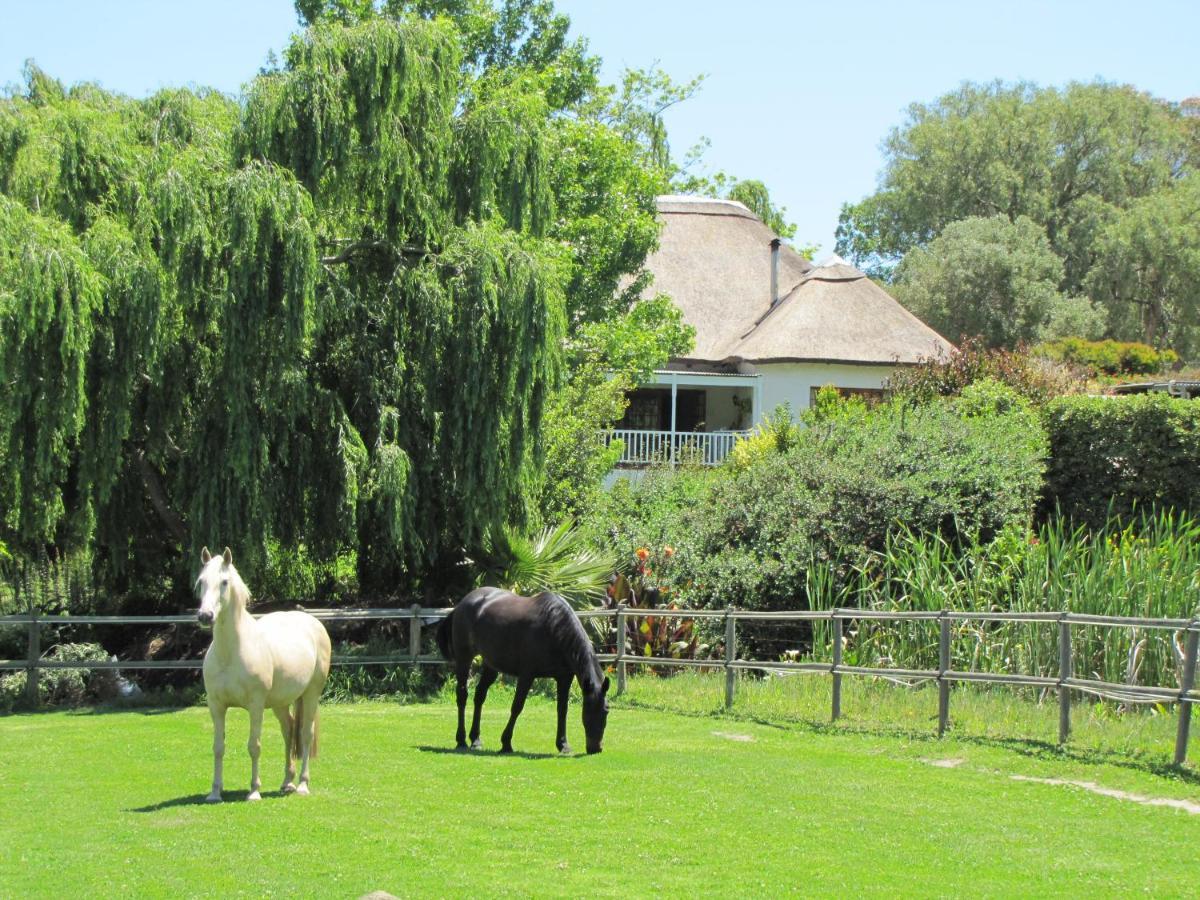 Acara Guesthouse & Cottages Stellenbosch Buitenkant foto